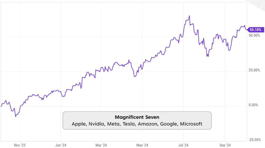 The "Magnificent Seven" have led the market over the last 12 months.